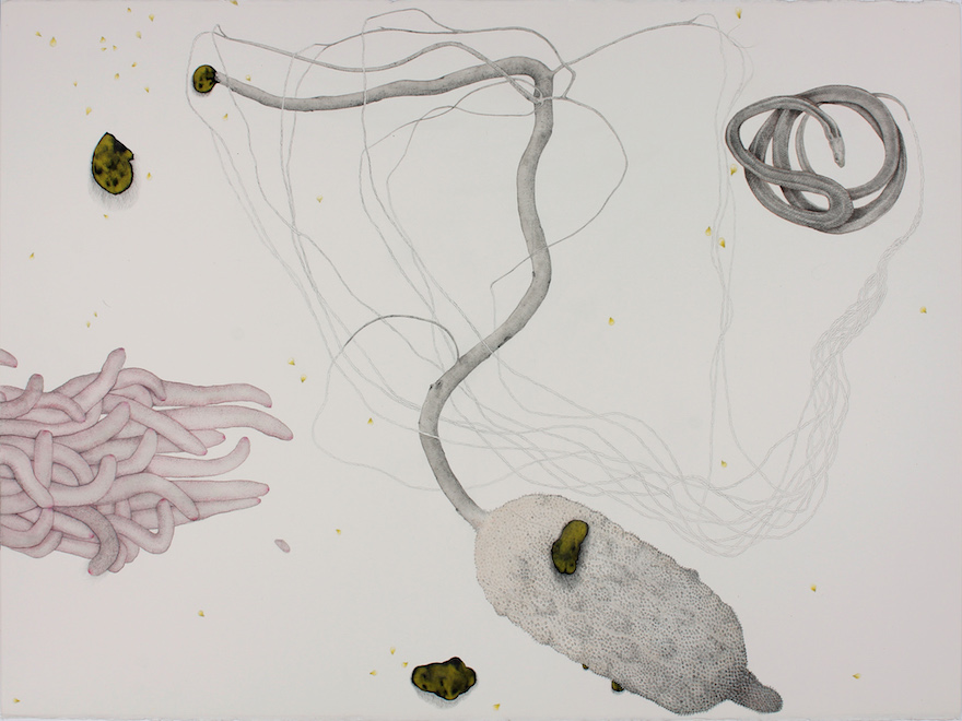 'My drawings and sculptures find inspiration in collected objects from the natural environment, while also revealing the darker, uncanny world of the psyche.' Lia McKnight, Aurum, 2018, ink, graphite and pencil on paper, 57 x 76 cm.
