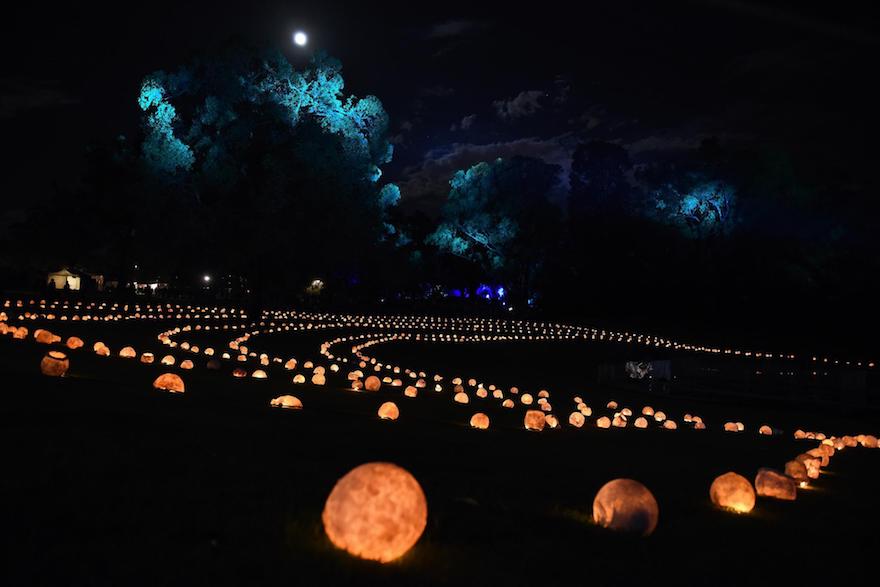 Balls of light in a park at night