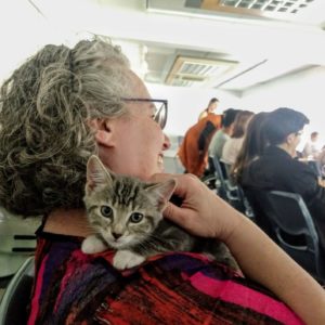A kitten snuggles on a woman's shoulder