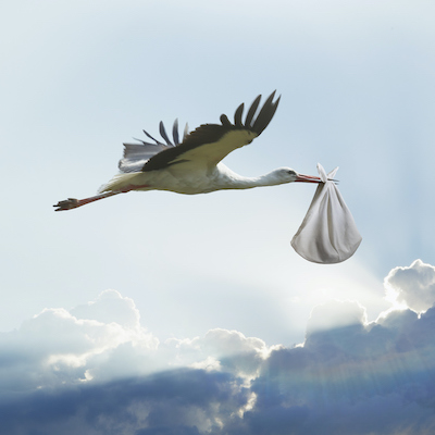 A picture of a stork carrying a bundle in a scarf (presumably a baby). In the background sunbeams break through a bank of clouds.