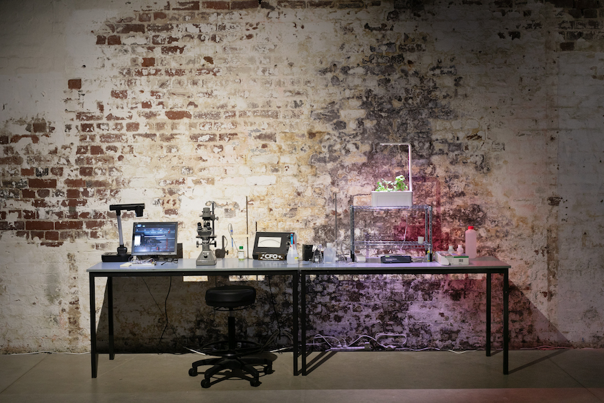 Pictured is a long table with a variety of scientific lab equipment in front of an exposed brick wall.
