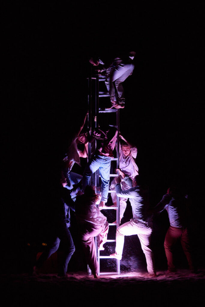Promotional image for the performance The Ninth Wave, pictured a group of dancers are climbing a ladder. They are in complete darkness being lit by a soft hue of pink.