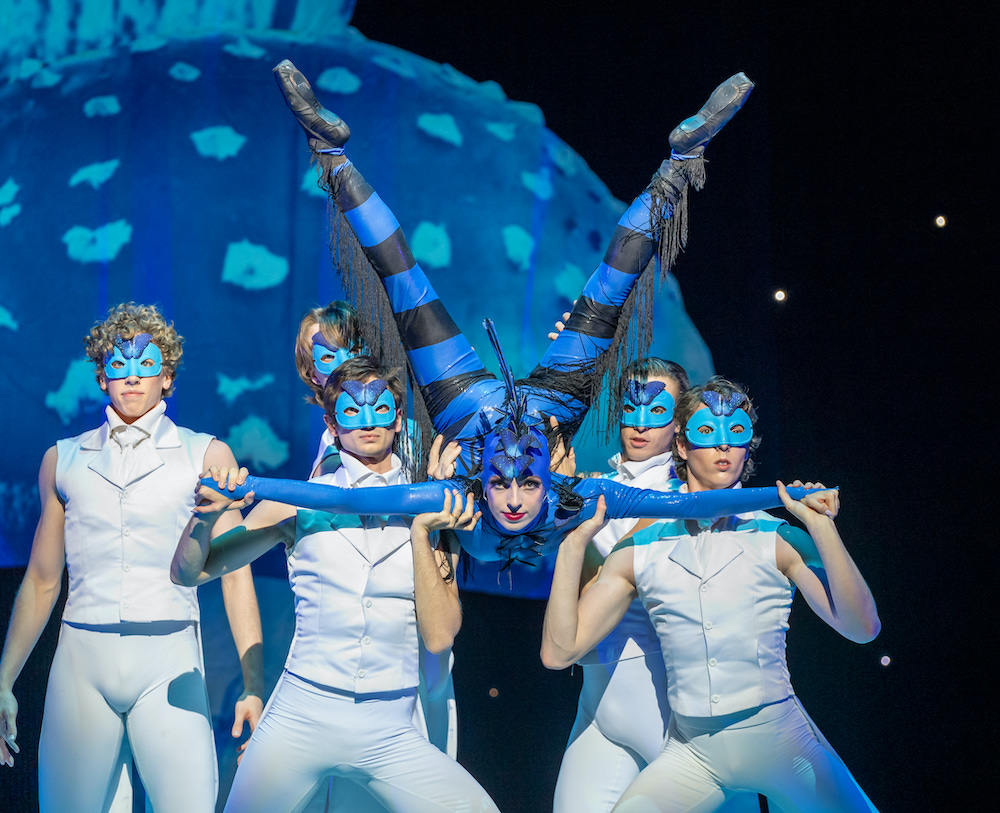 The caterpillar scene in Alice (in Wonderland) - Asja Petrovski, as the caterpillar, is held aloft by a group of white tuxedo clad, masked dancers. Her back is arched so that her blue and black stripy legs tower above her head. The scene is overwhelmingly blue.