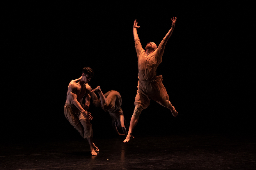 Bathed in golden light, a dancer leaps into the air, arms held high, while two others from Co3 Contemporary Dance shift and shape behind him.