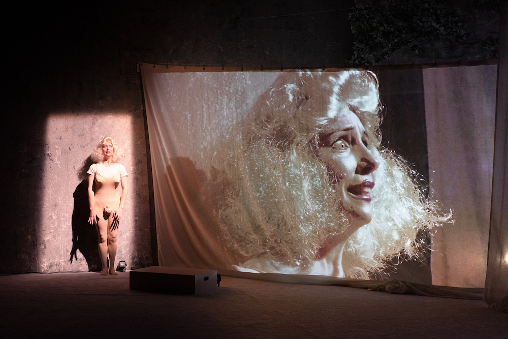 A scene from D*ck Pics in the Garden of Eden in which a woman wearing a nude body suit with pretend genitalia stands next to a projection of her surprised face in profile.