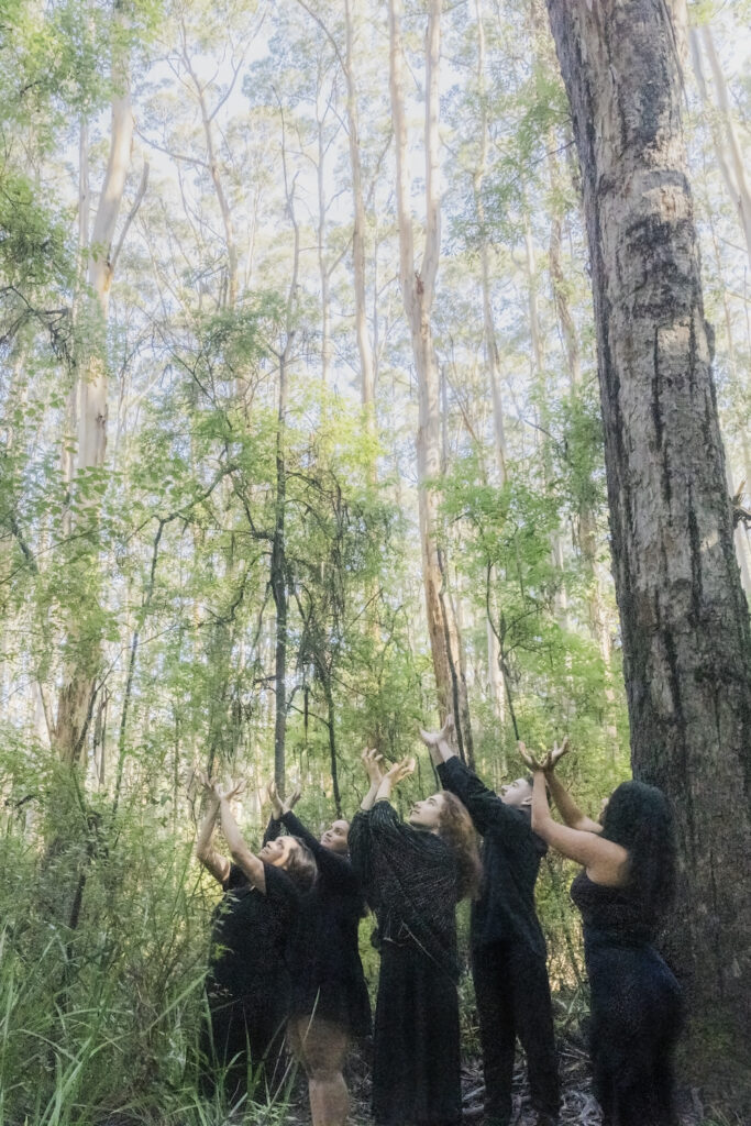 A group of women stand in the bush, their hands raised to the sky as though cupping a sphere.