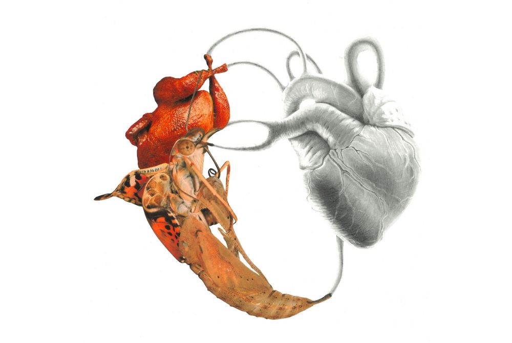A work from Bread of Bone which depicts a heart connected to a cooked prawn, insect and chicken by its arteries.